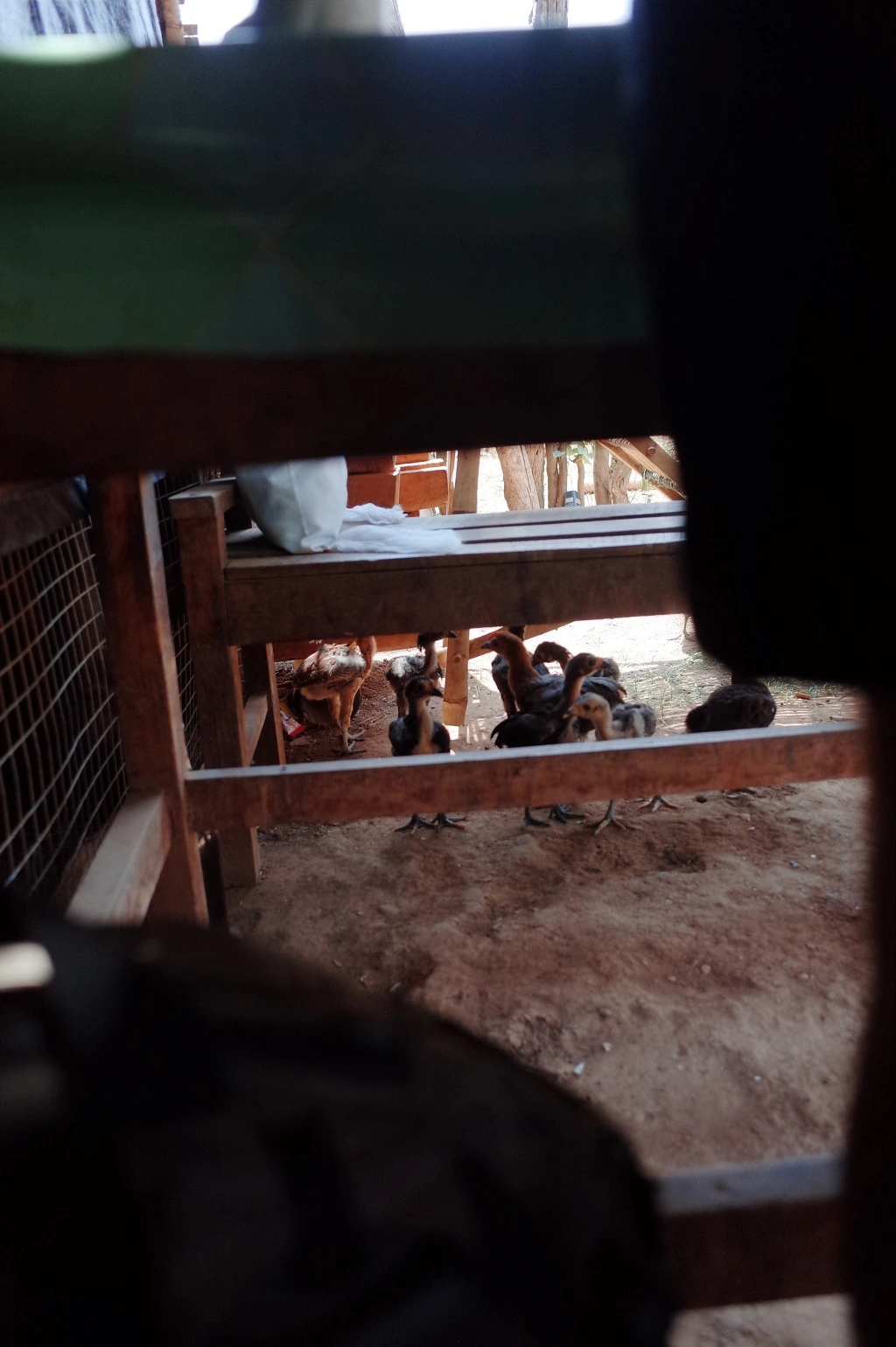 2652C142556BC5751FC04E