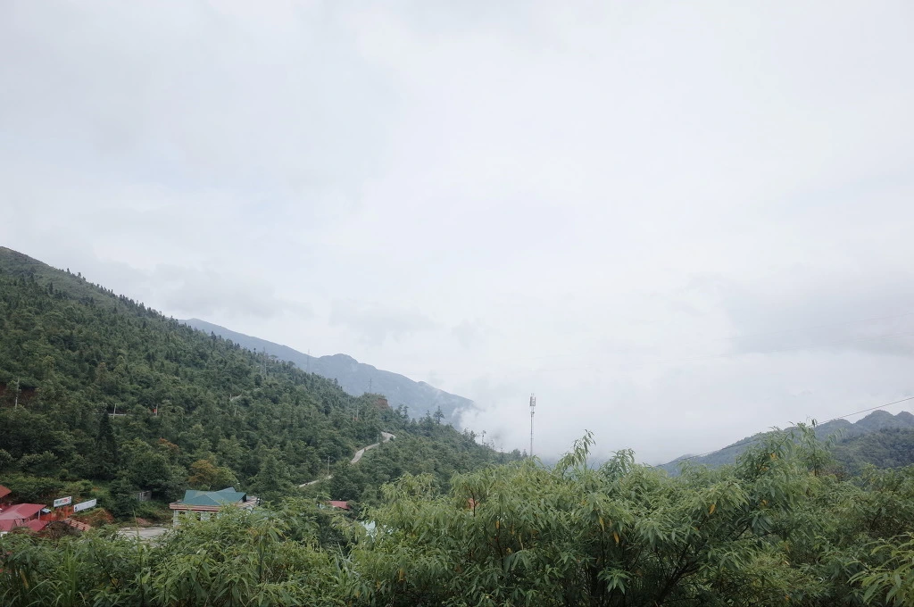 2658EC3B5571B1781D9A40