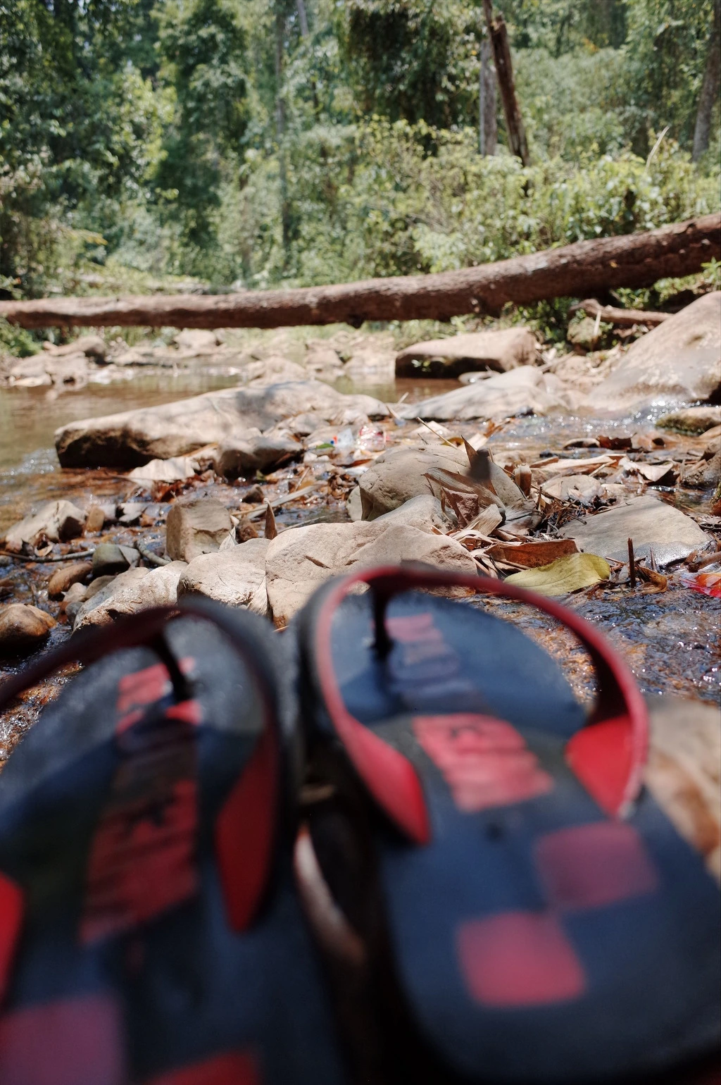 261F9845556BD3DE1DB773