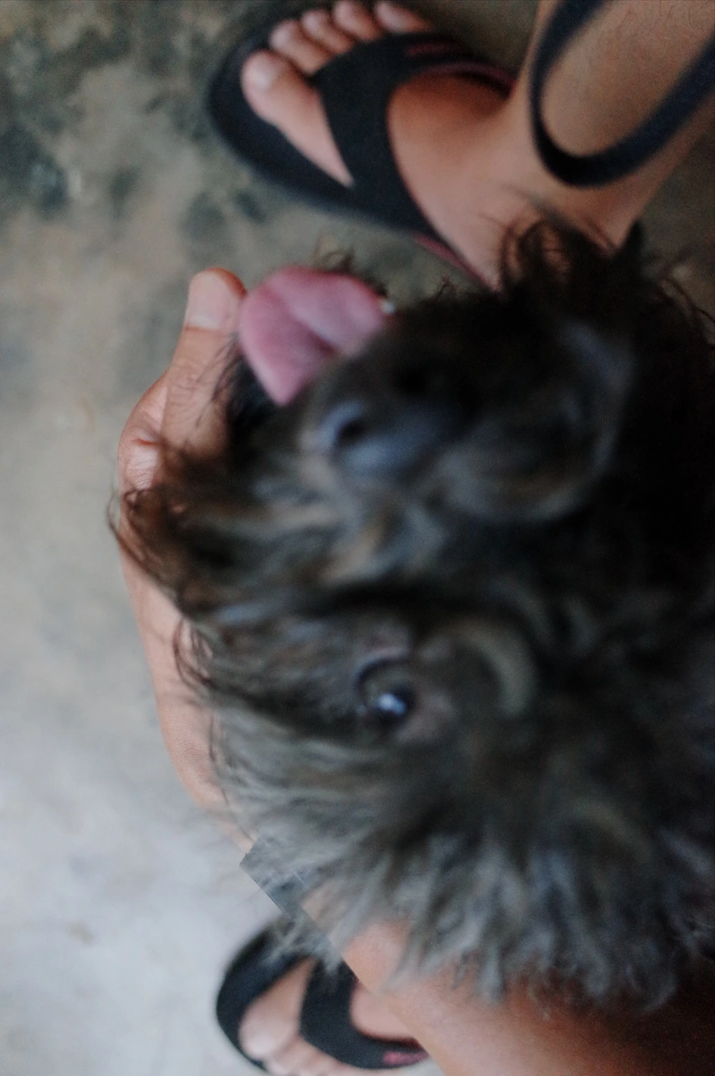 2741DC375561FD2928E388