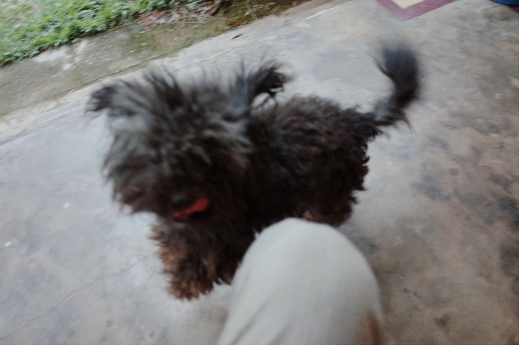 216DED3D5561FCC32CE6E1