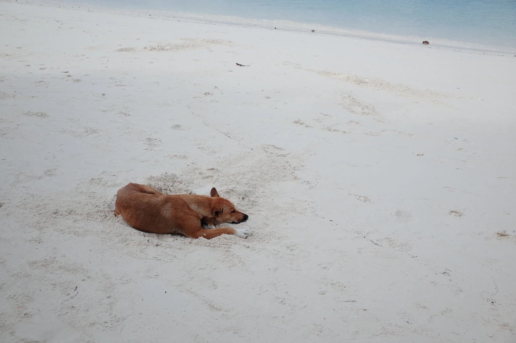 231FC541555E11611B249D