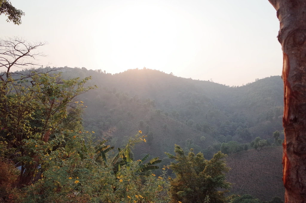 2725A639556BC7A01EFE93