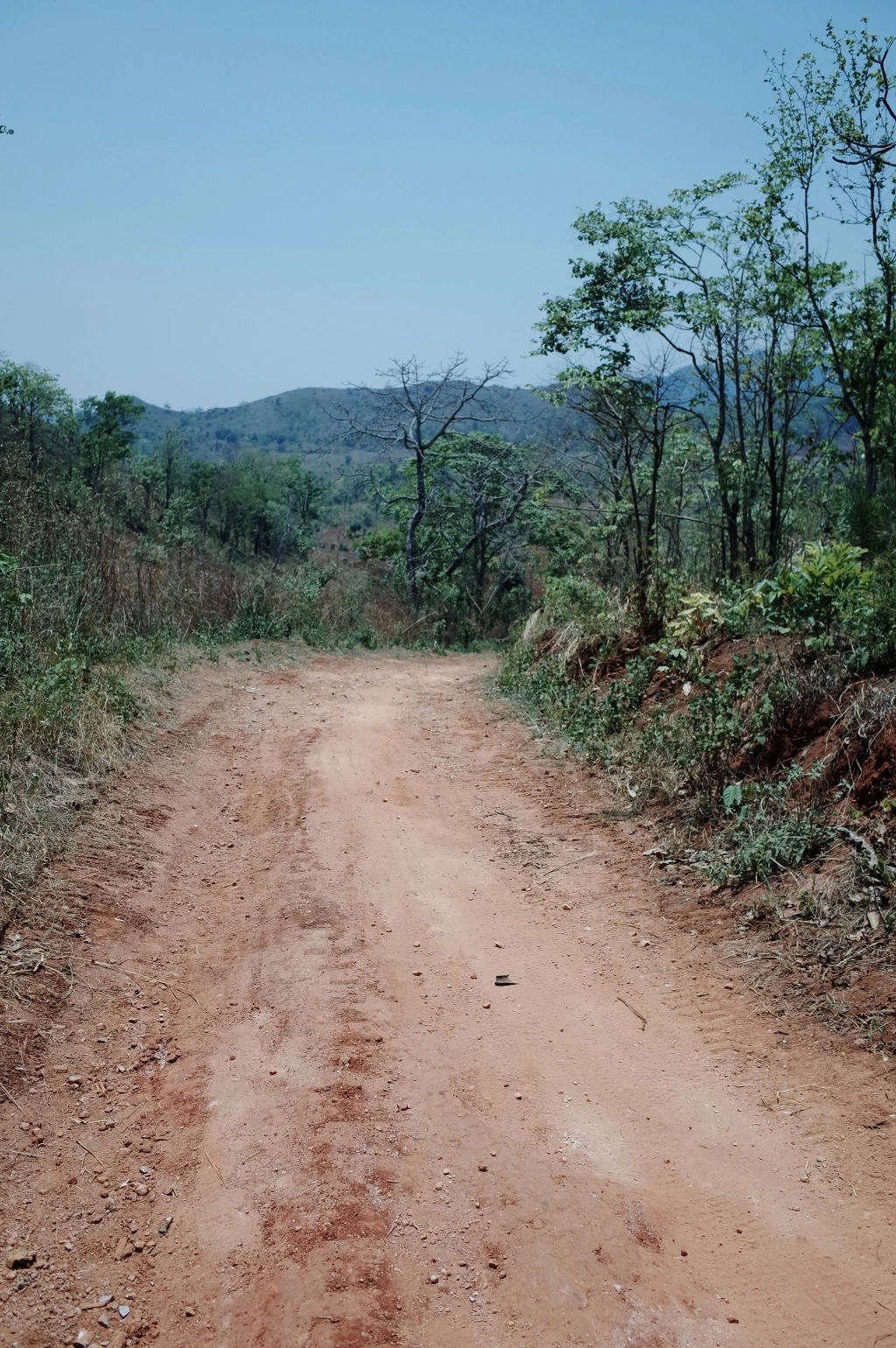 25540945556BC5E0056F1B