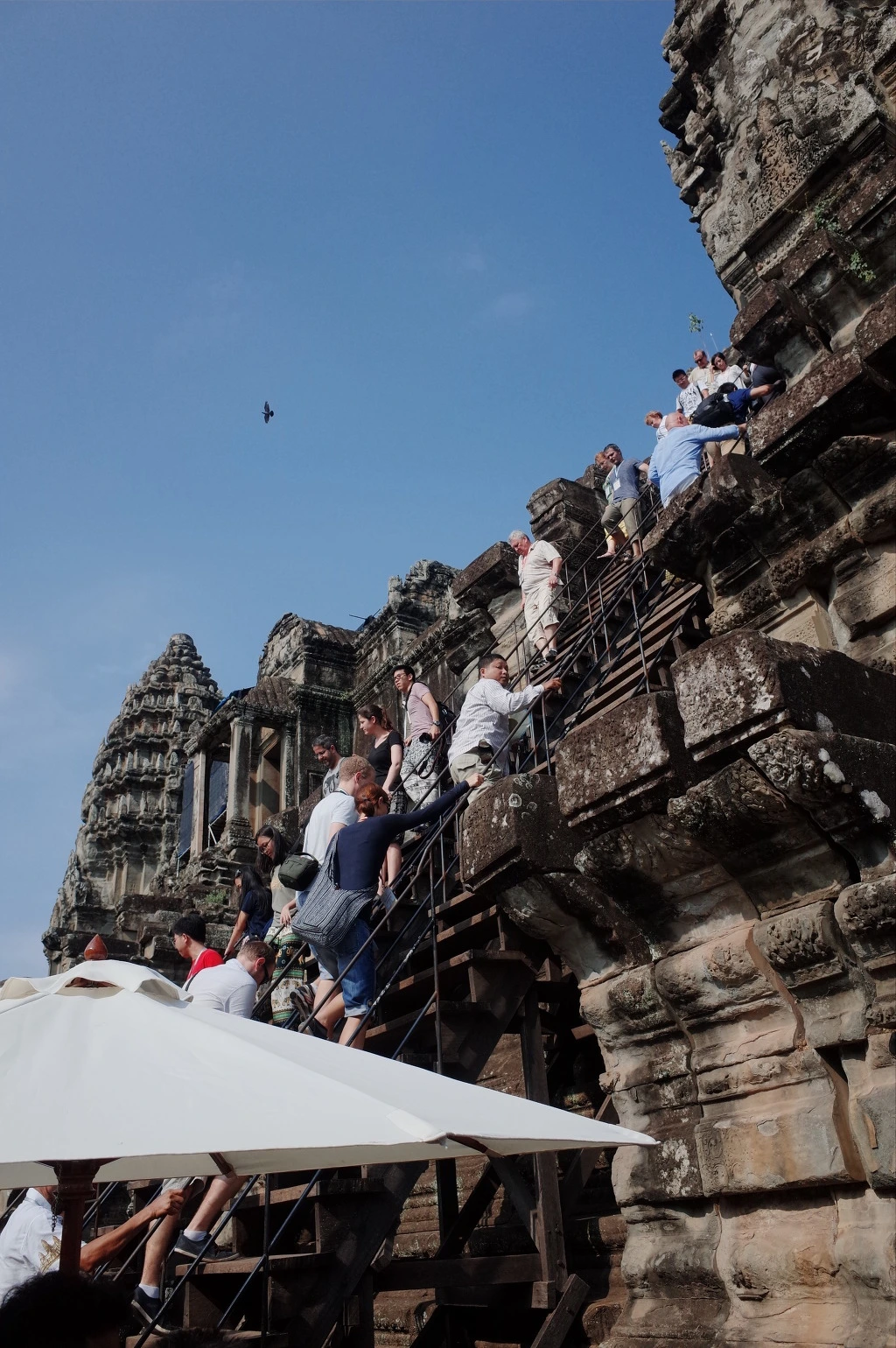 236A8A465554EF98168F3F