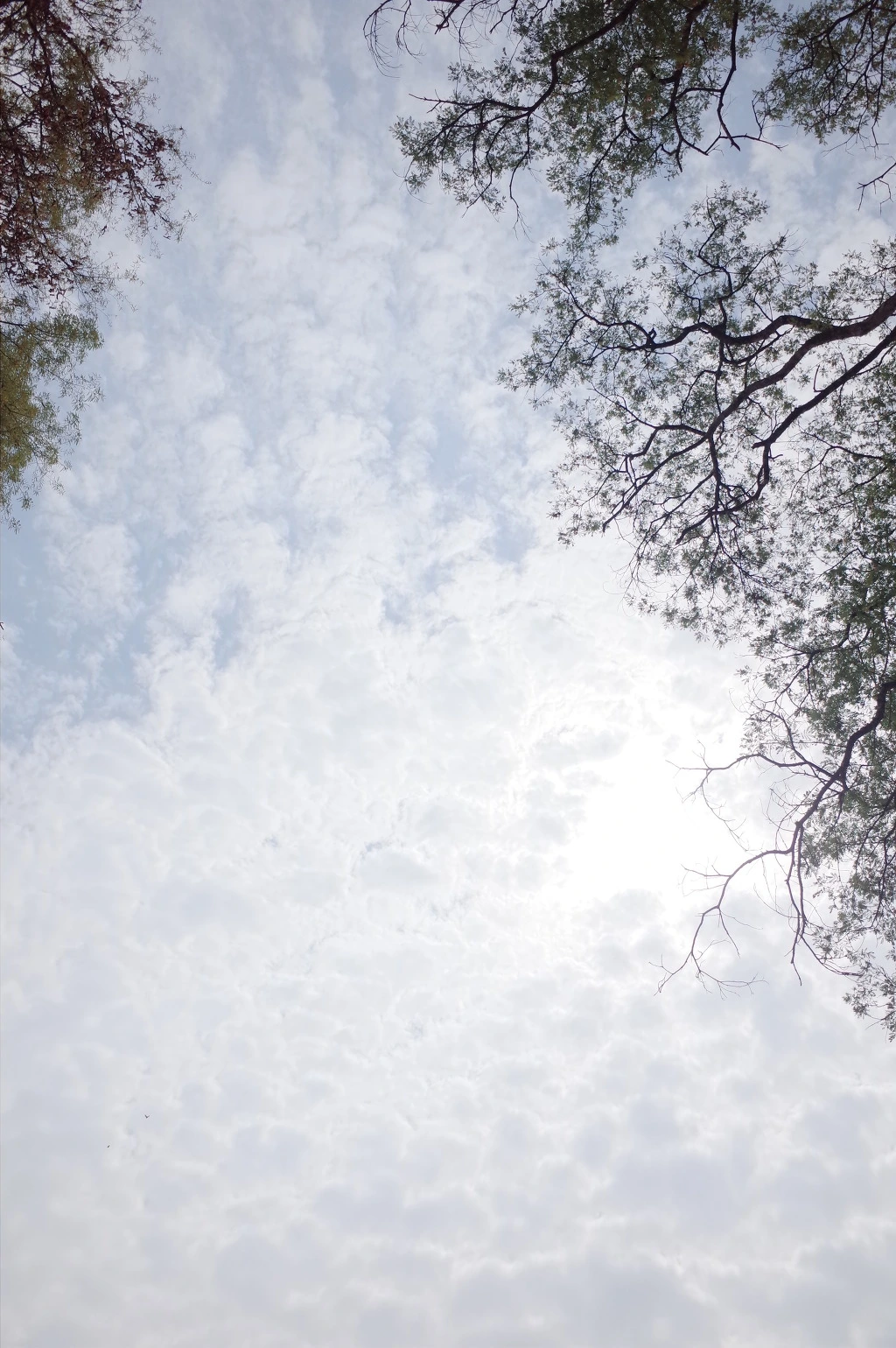 23739B3C556CF6792B7726