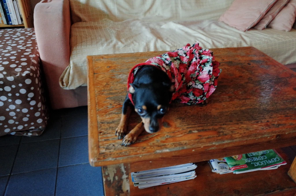 254CB844553CECF12DB5D0