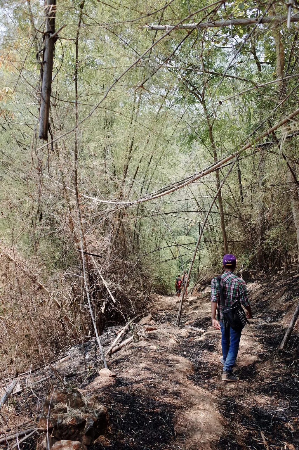 2649E43B556BD43F1B6339