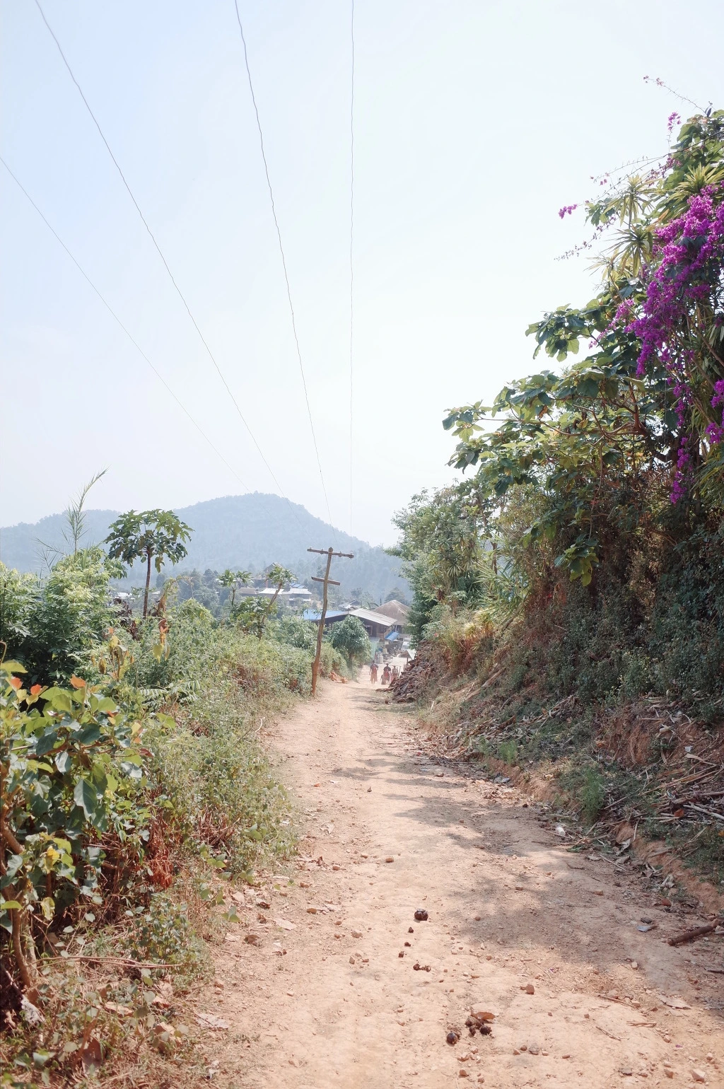 22177A41556BC6CB2885C8