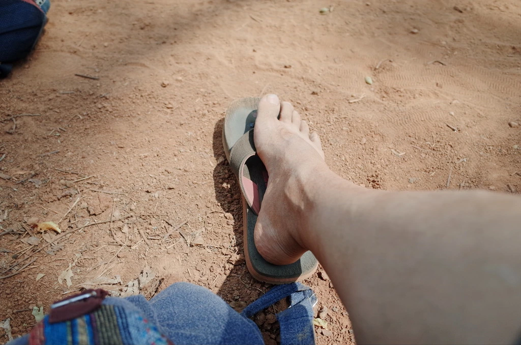 23610E3F556BD50C1C3277