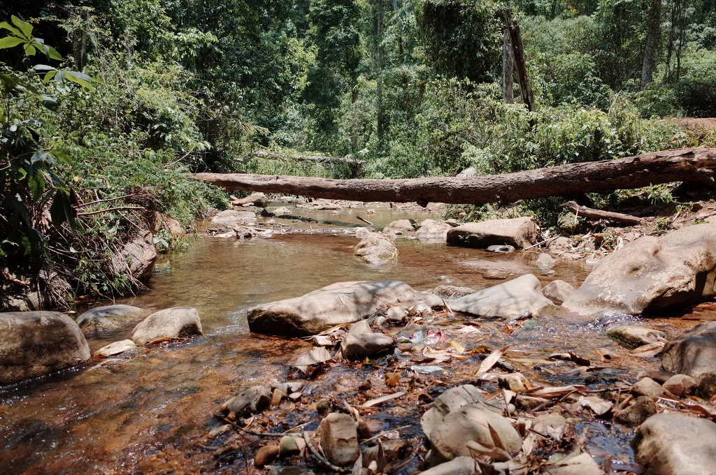 2638A139556BD3ED01796A