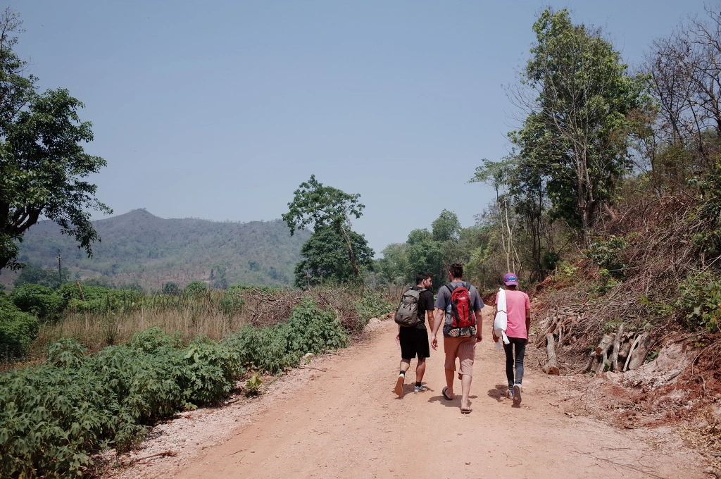 25396343556BC585396ABB