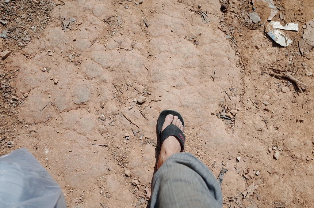 235DC539556BD368325CBA