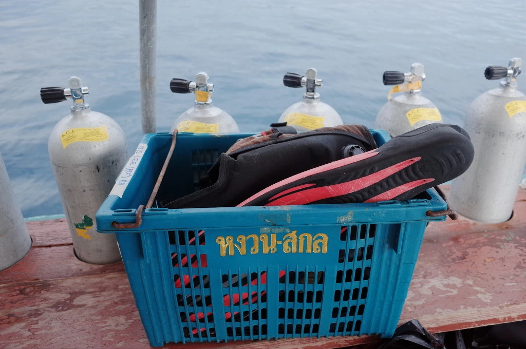 2328BC41555DFEDC2F6B71