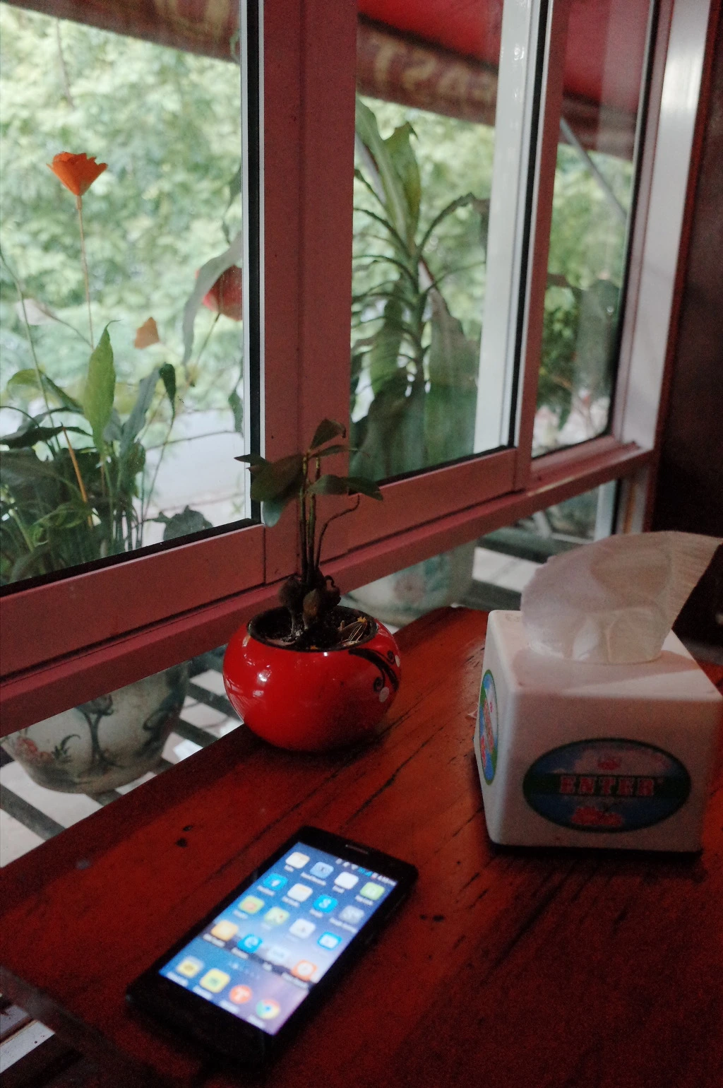 2463293C55778BF0303A41