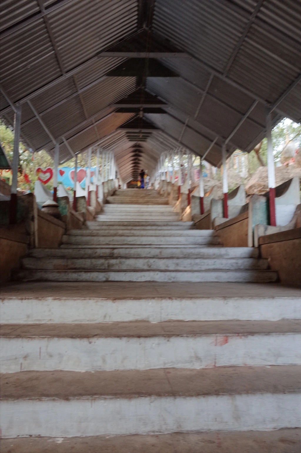 25739939555DF1A809D425