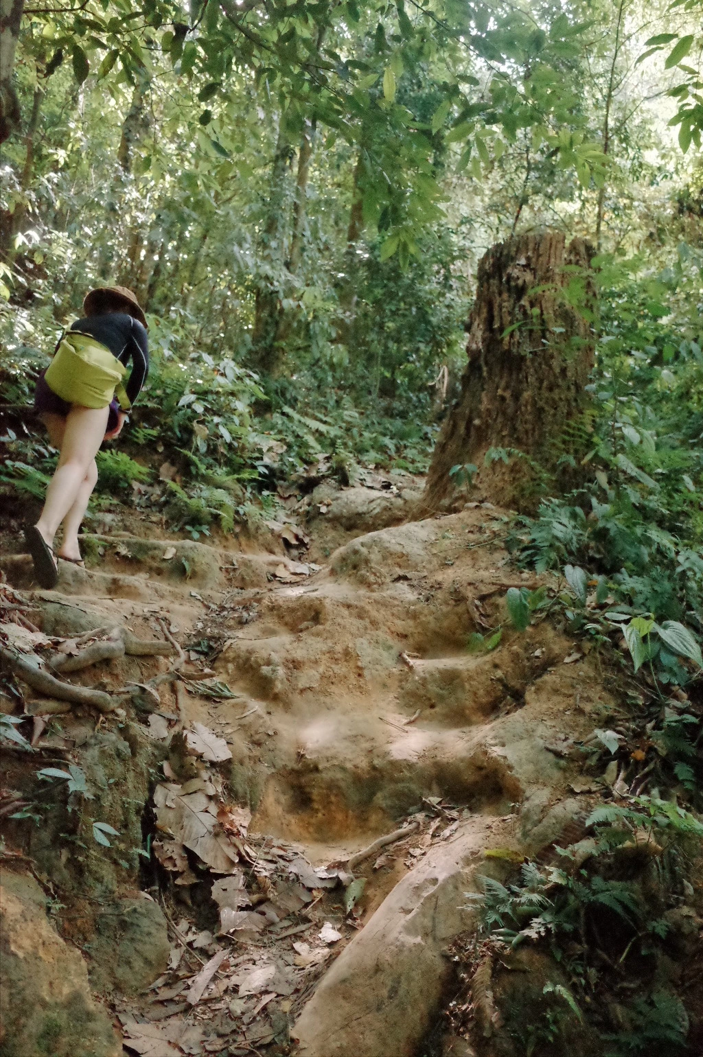 22321F3C556A5673381443