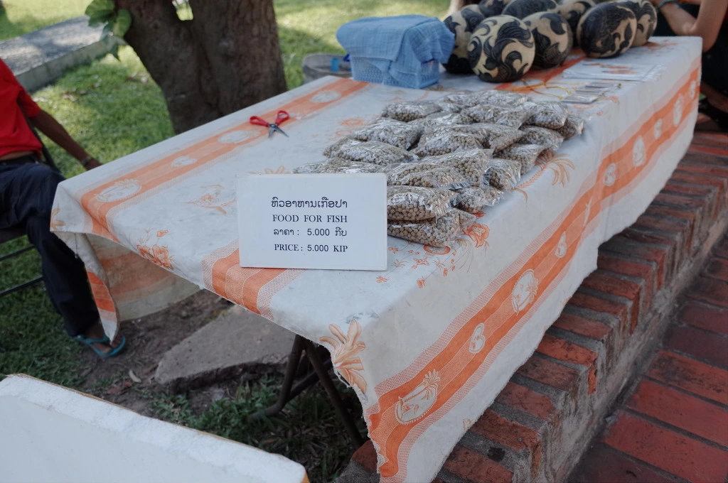 2101CF46556A55E82233E6