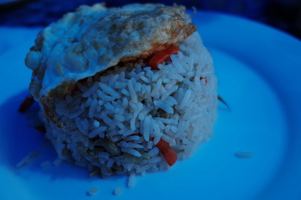 245E8936556BBD990320F0