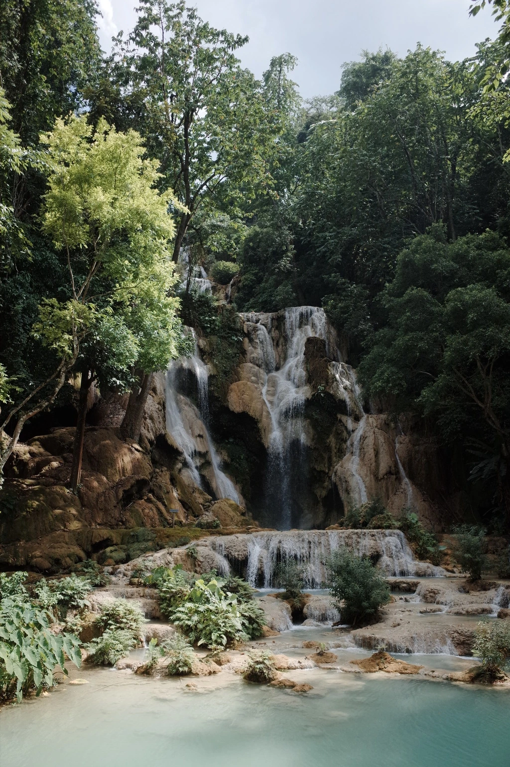 260FF939556A56633C62D2