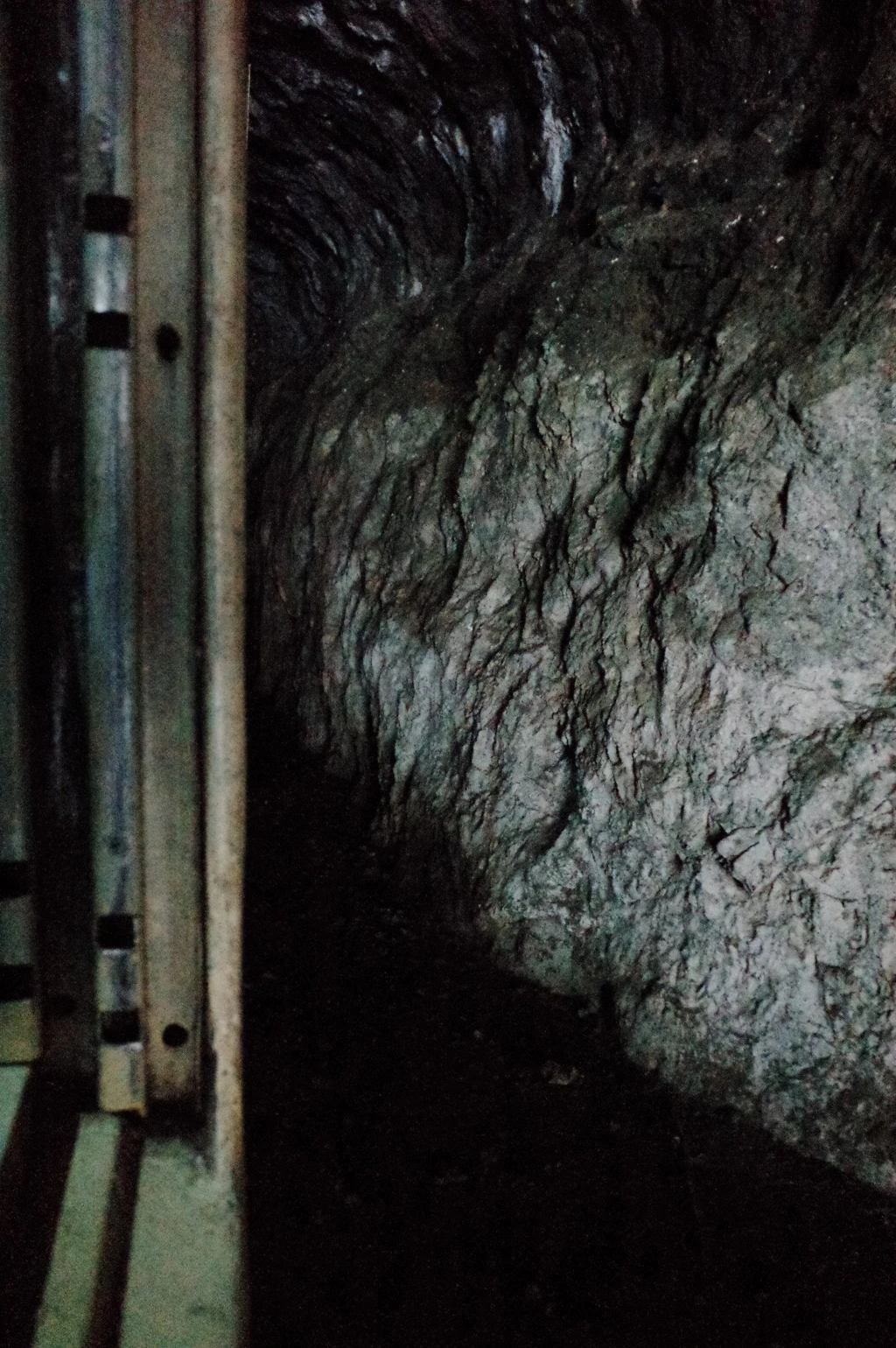 2127CF34556D7F7D3B0B43