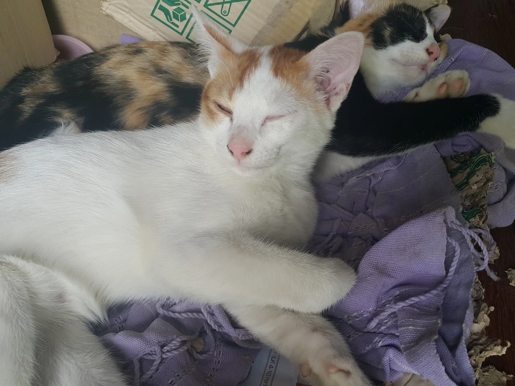 2461753C553A5A6F122EB4