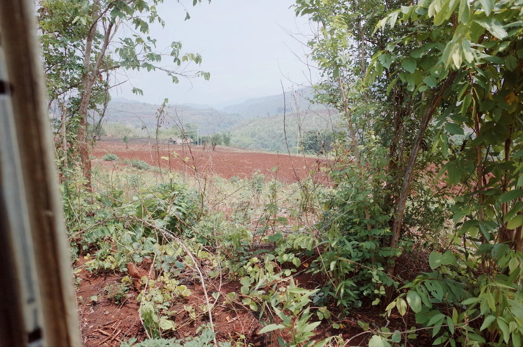 22674E3A556D7EE6107723