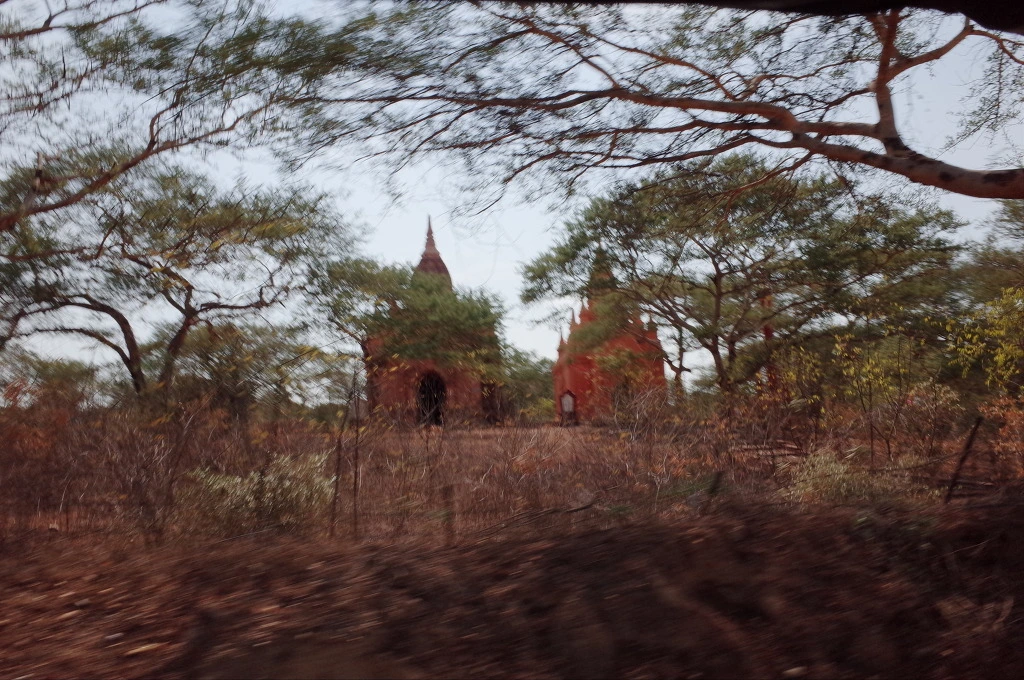 2126493B5540E9EB196B4E