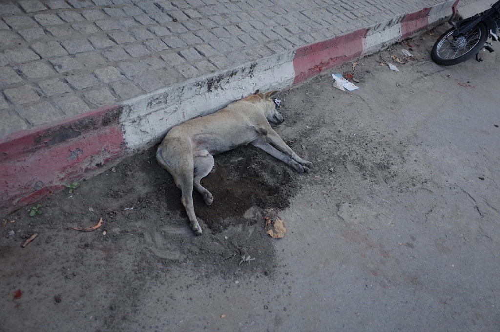 2309333E556D8A2520F2EE