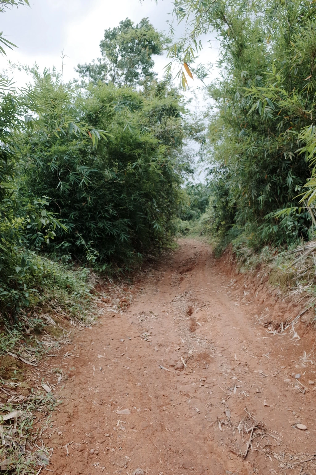 246DF63B5565D69E16821F