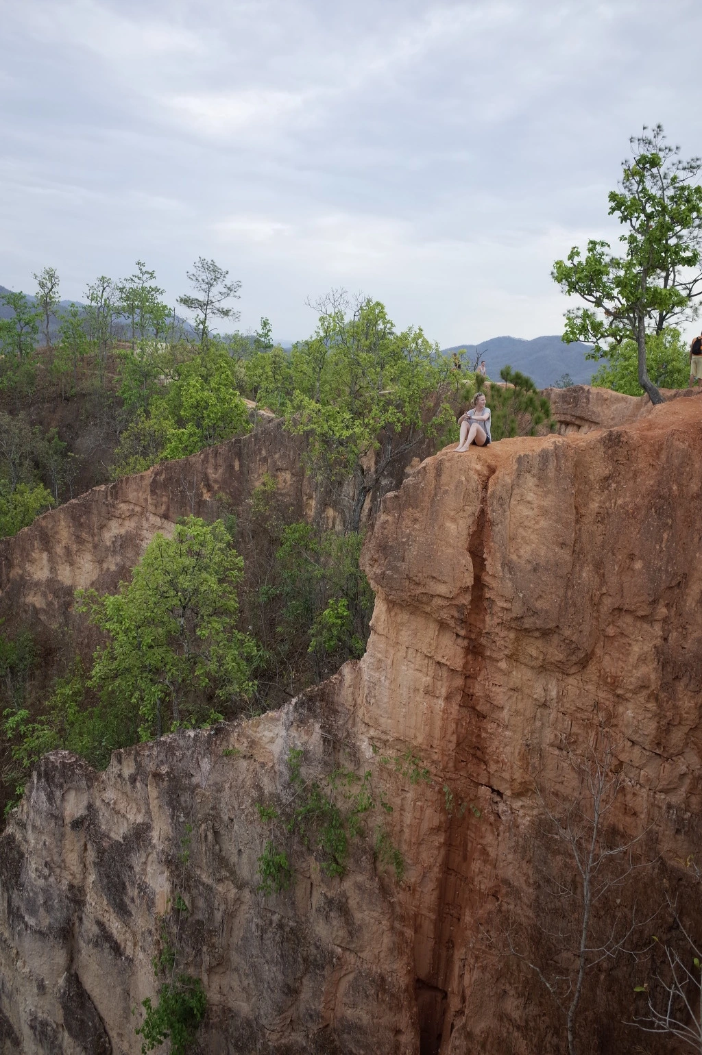 232E0C33553A5FBC1F8E58