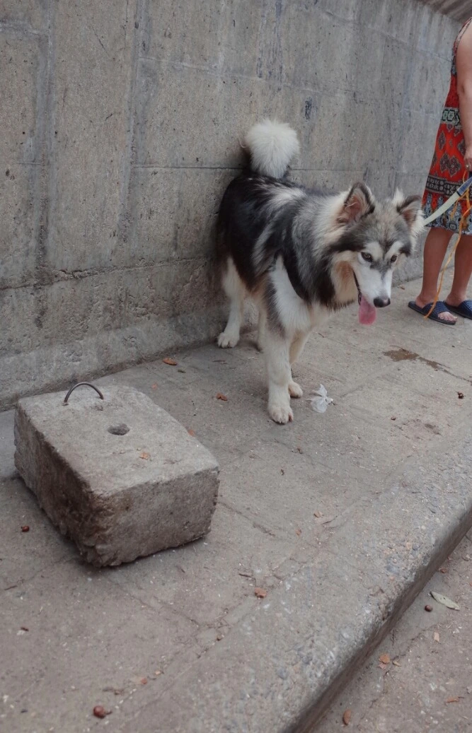 2345E03355778773281AB6