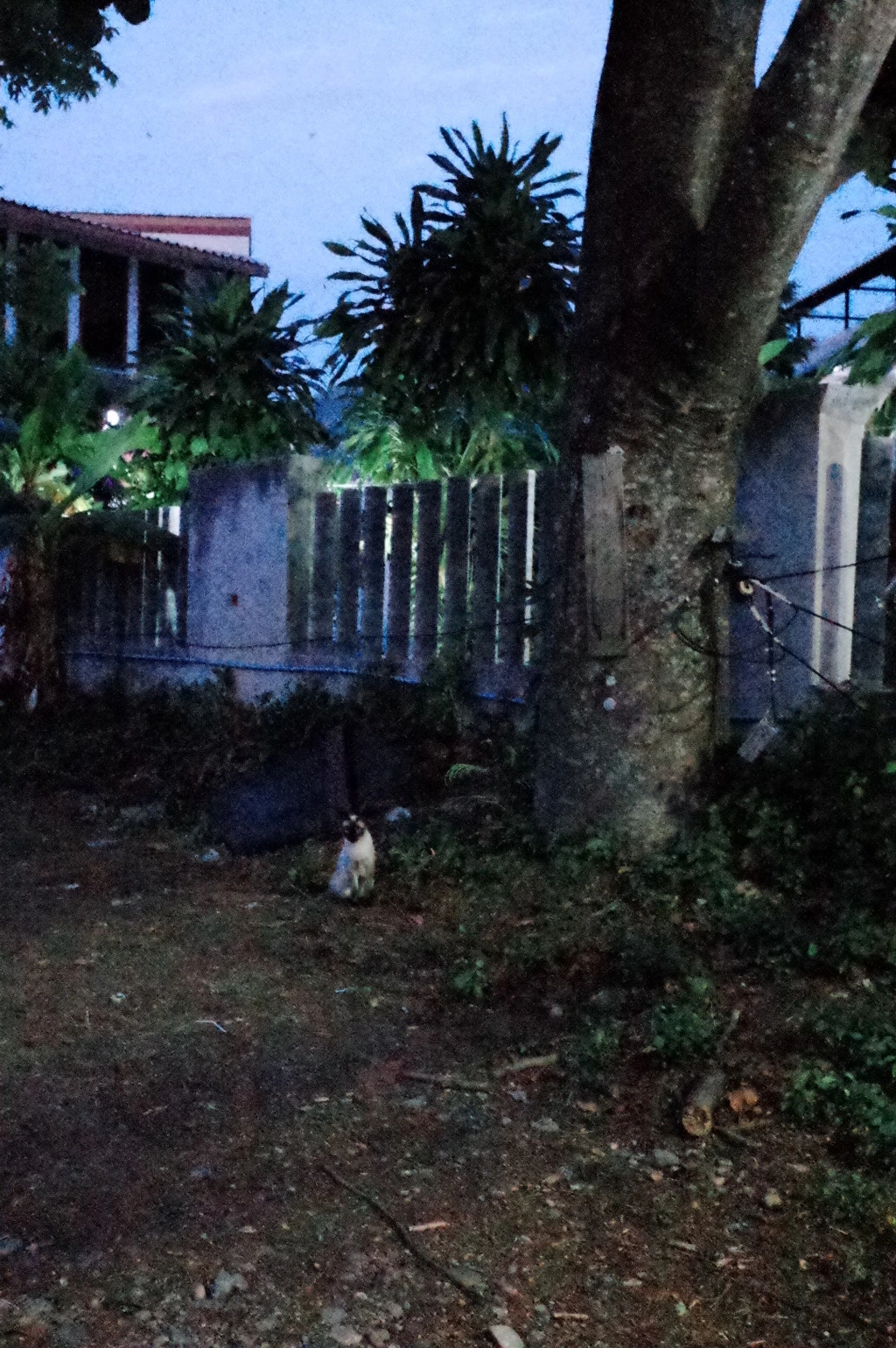 237C083C553A61B3277A33