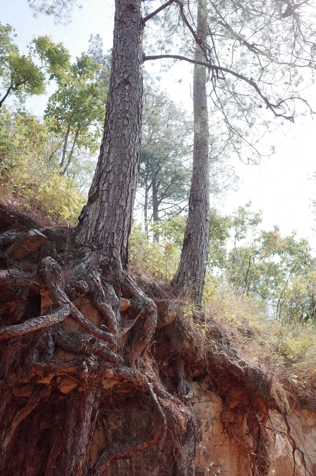 235DE941556BC67A4BE030