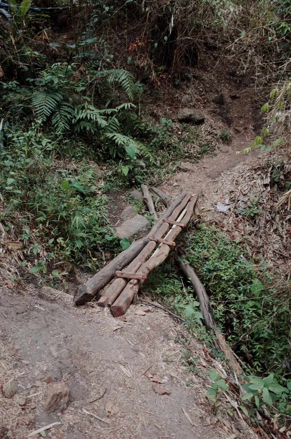 26256B3E553C603405675A