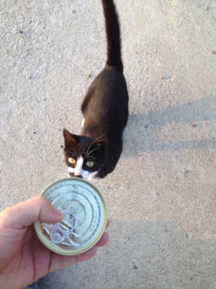 22528150530C35A12B0134