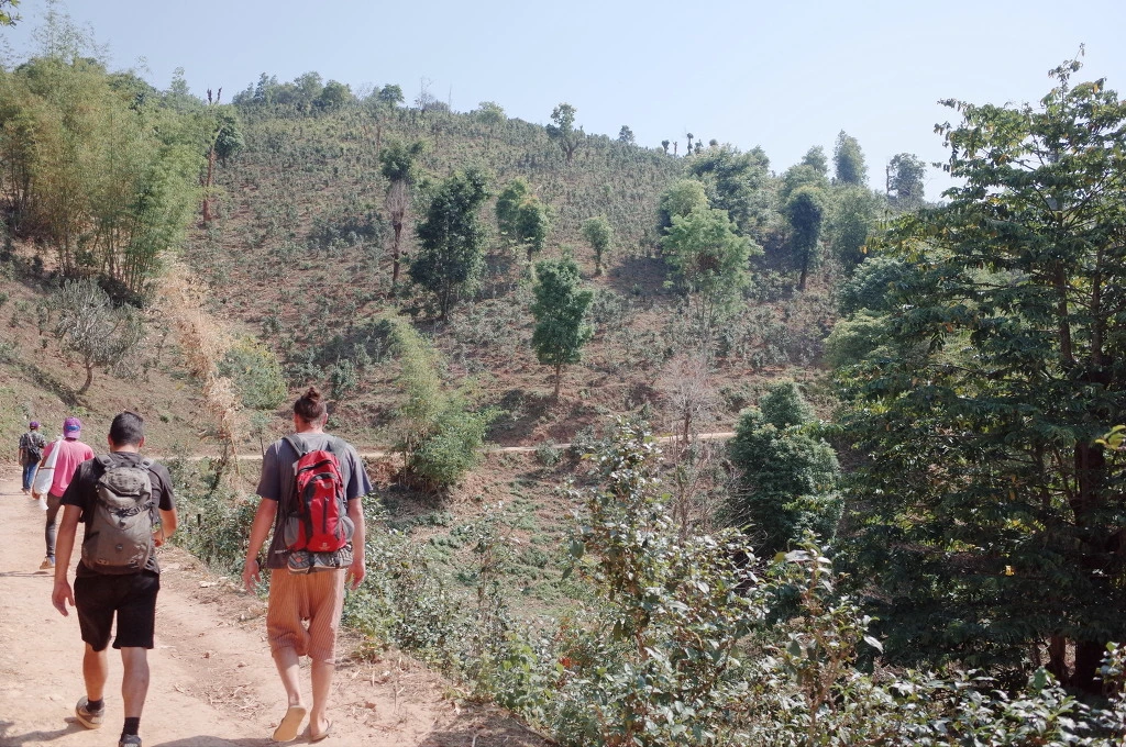 2677E73A556BD39A1191D0