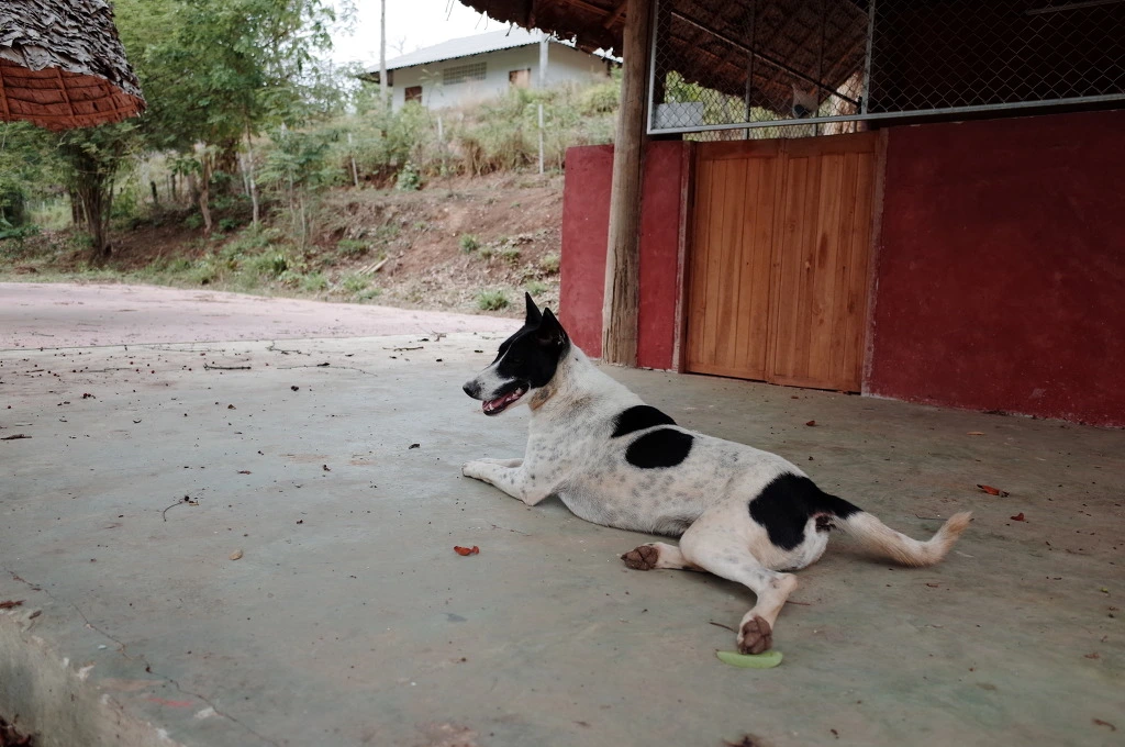 23591F3C553A5E1B2FD045