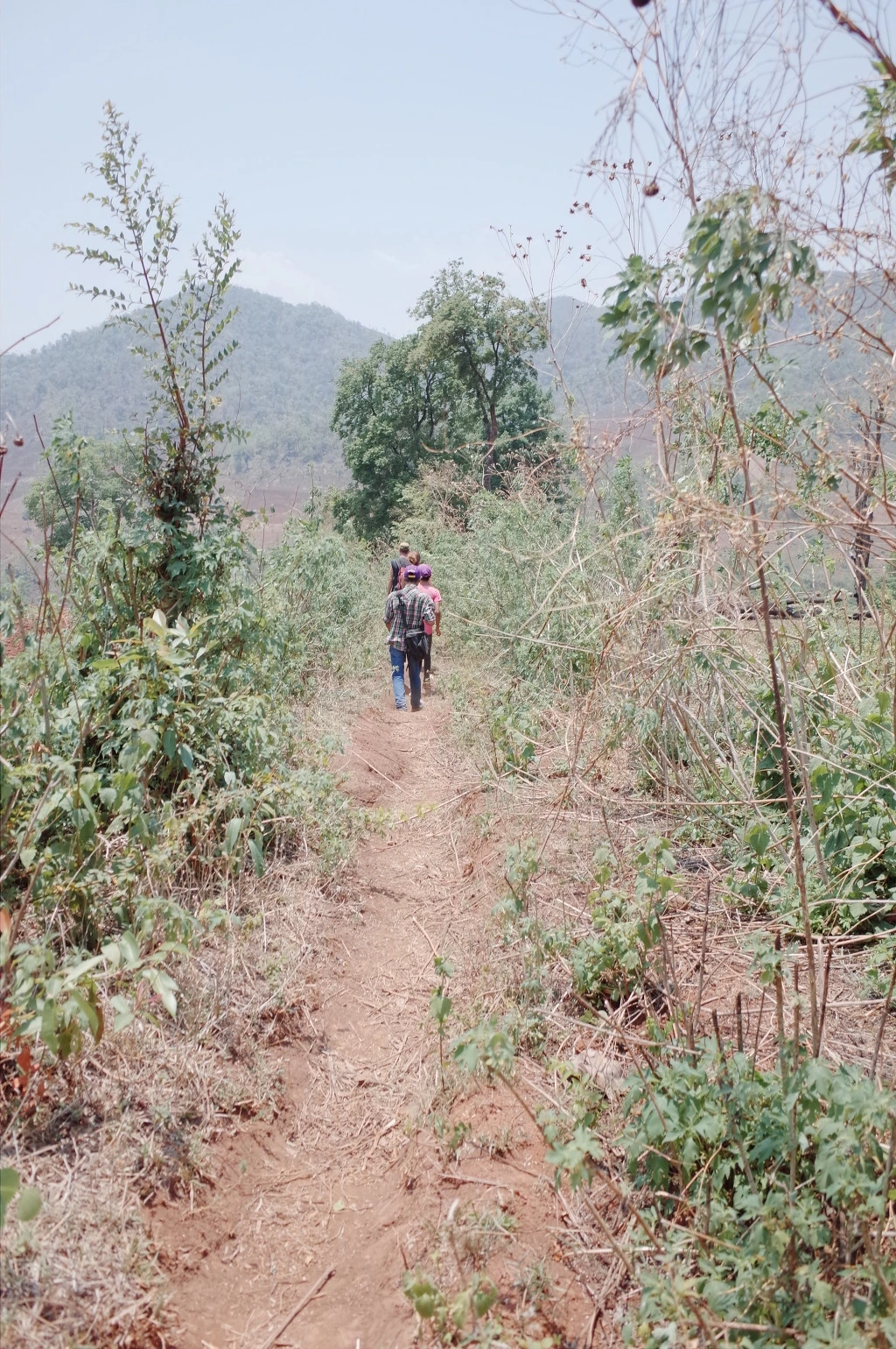 2578633F556BD42009919D