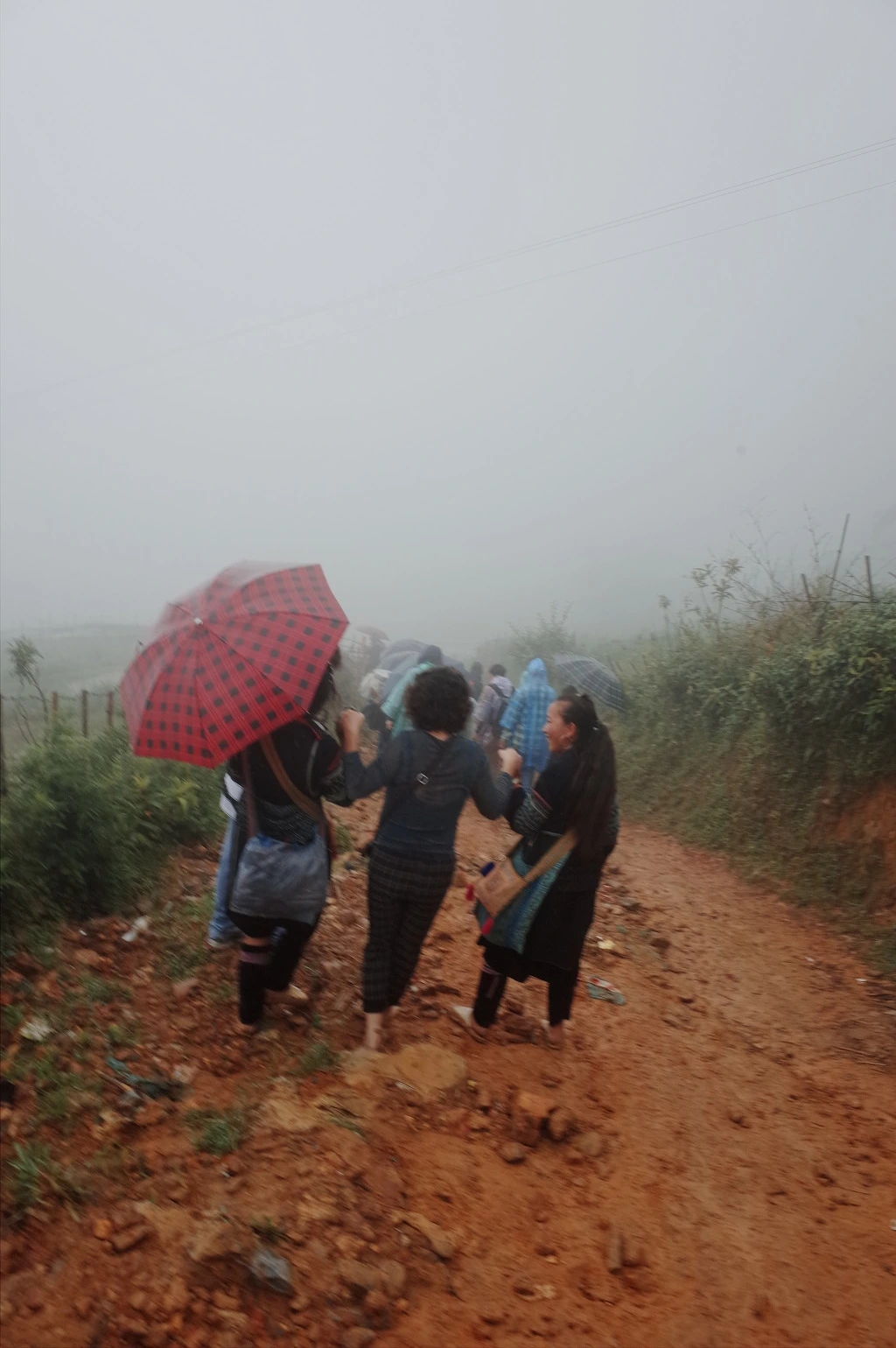 26117B3E557462FF11E6F6