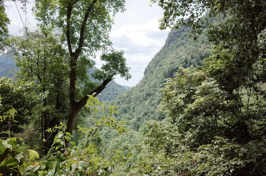 27490140557ECA14206E5F