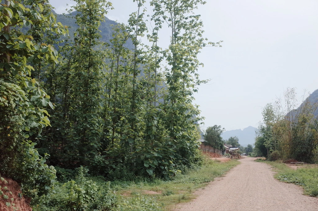 2172EE3E556B240319B310