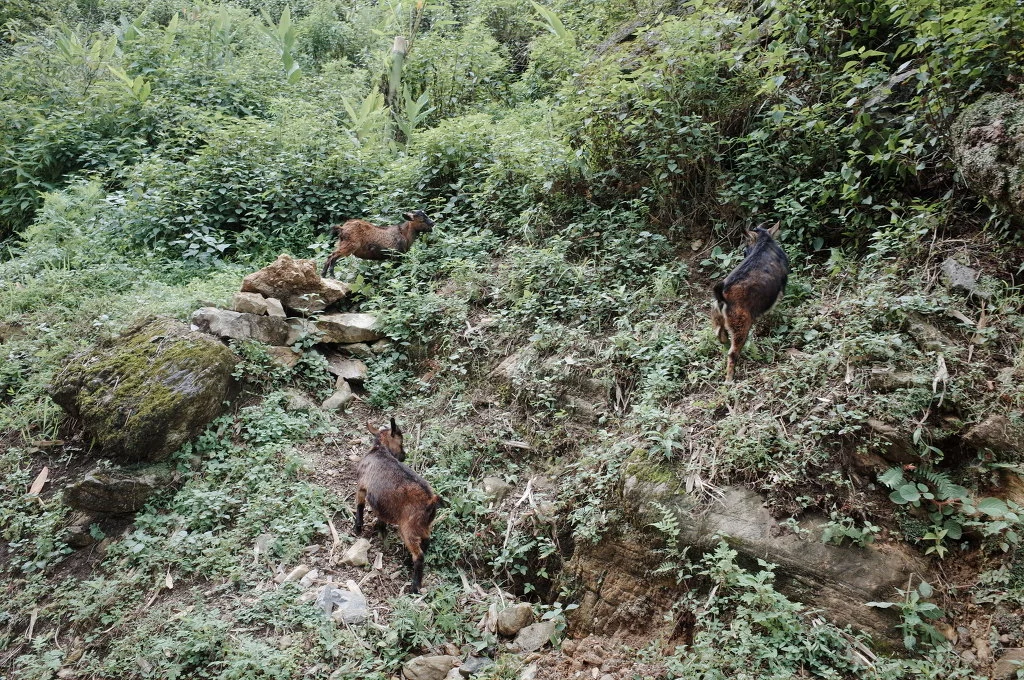 25768F42557467B721CB10