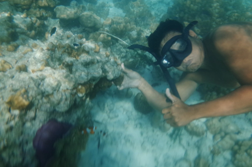 24463846555EB1EC1BA445