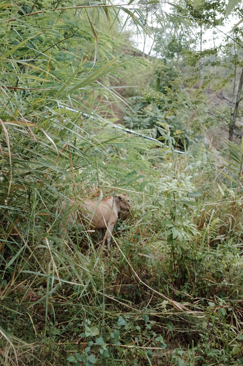 21383936553C604E231D07