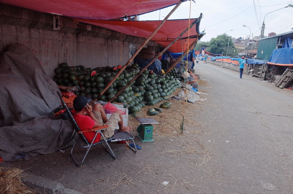 24326338557787DD336423