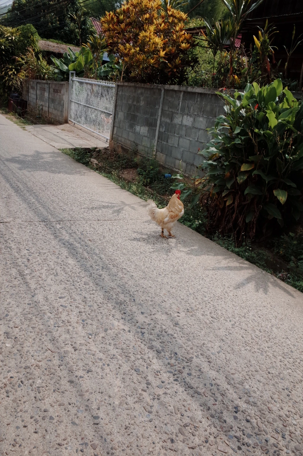 215E0F37553CEA800D47CA