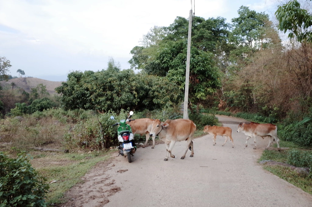 21592238553C60AD126603