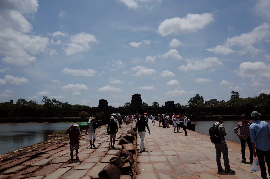 2313D43A5554F113262AE8