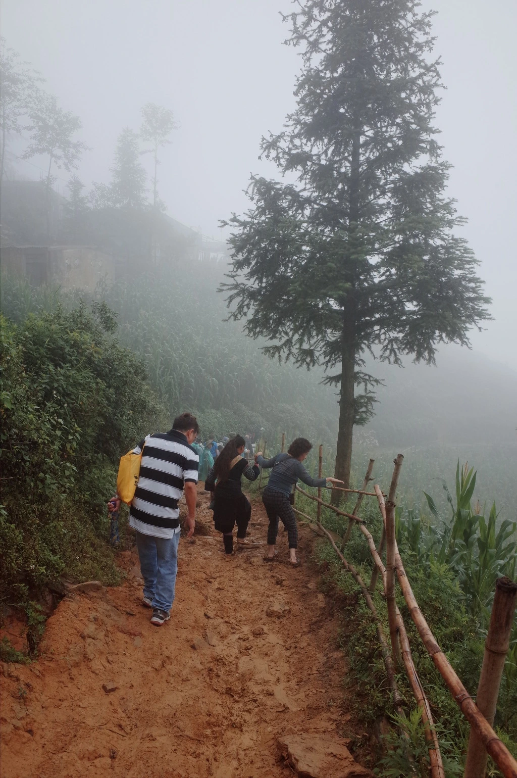 2716CD3D557462EB049607